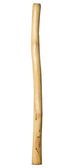 Medium Size Natural Finish Didgeridoo (TW1542)